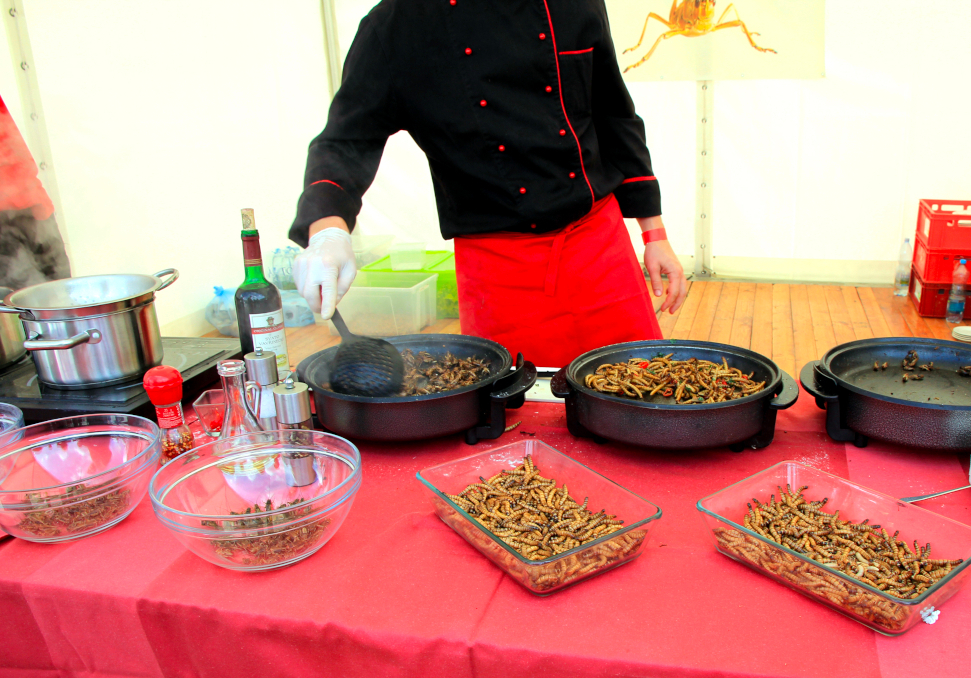 Insekten essen