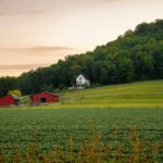 Ökologische Landwirtschaft