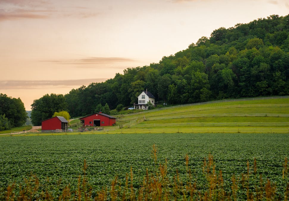 Ökologische Landwirtschaft