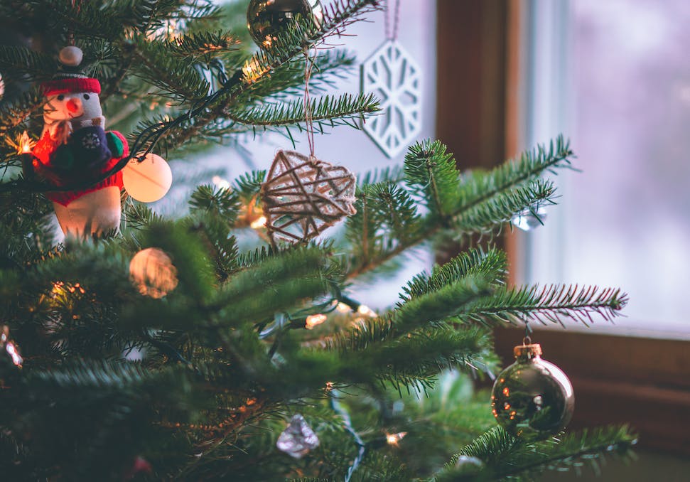 Nachhaltiger Weihnachtsbaum