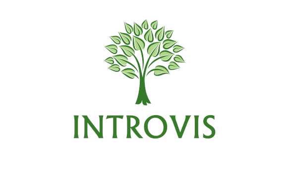 Introvis Logo