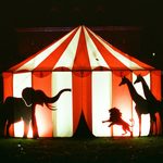 Zirkus